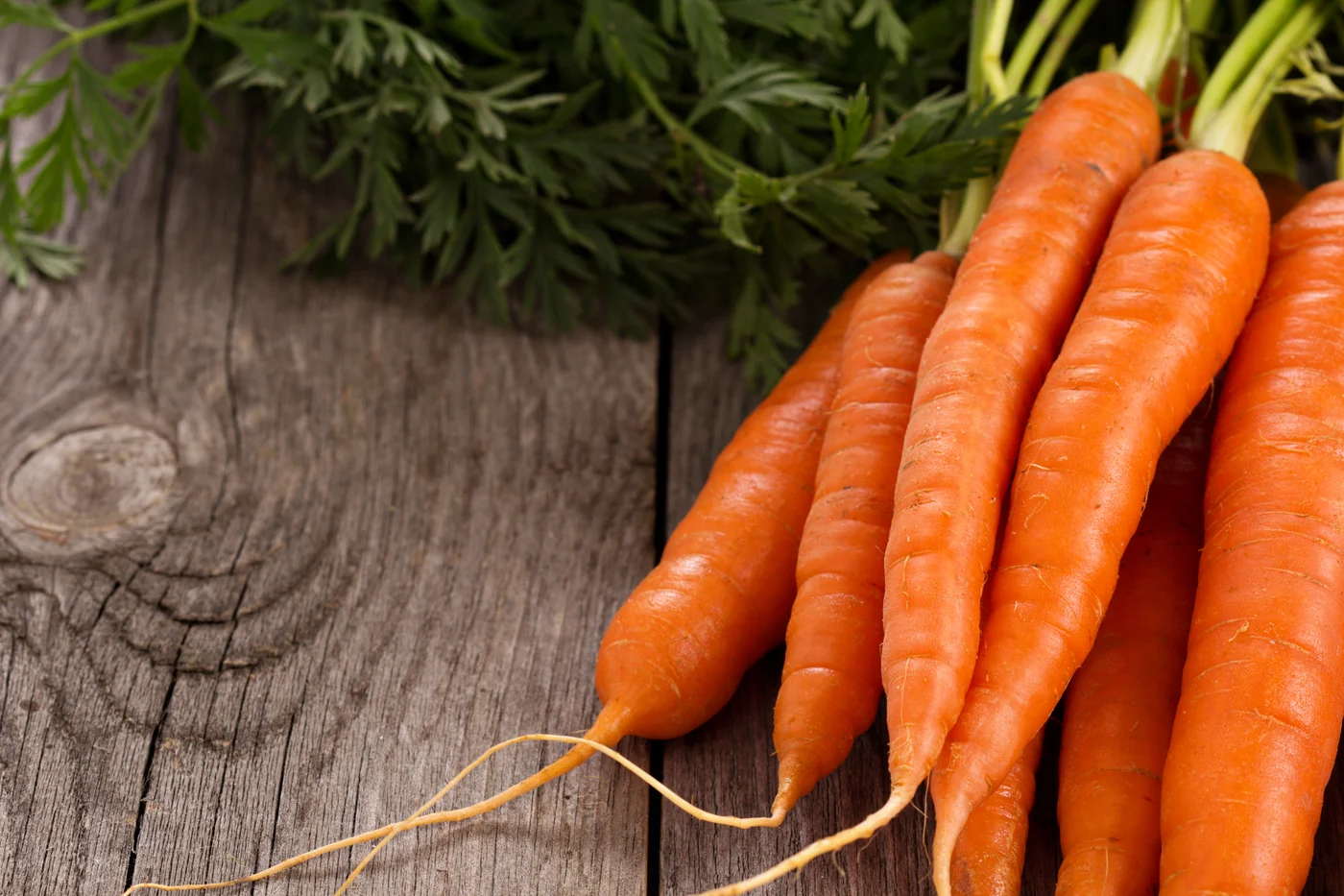 Zanahorias frescas con hojas