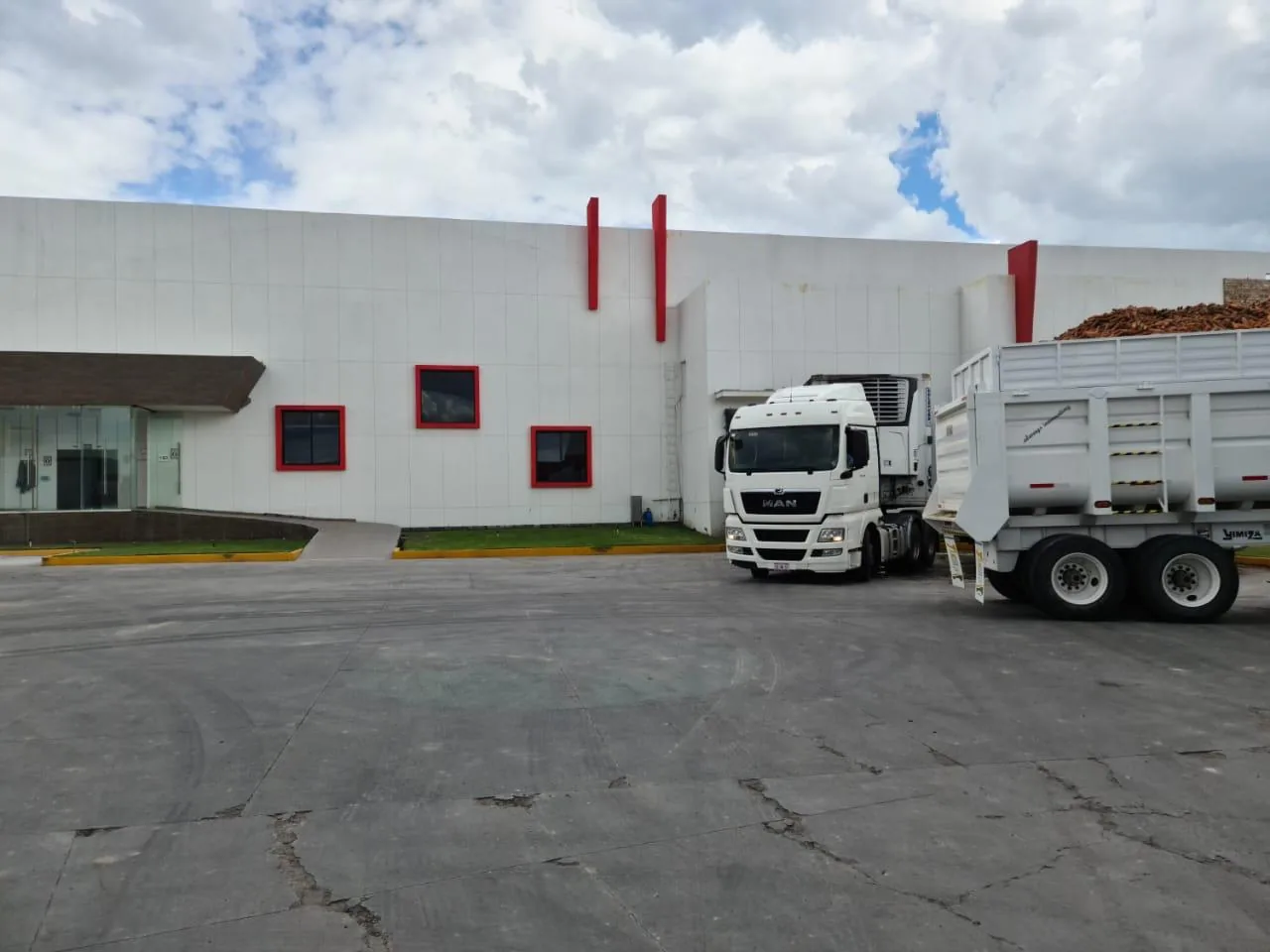 Lavado y pulido de zanahoria