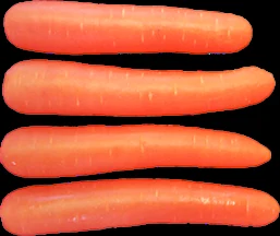 Zanahoria mediana